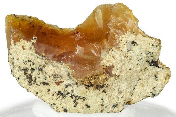 Rough Oregon Fire Opal #330553